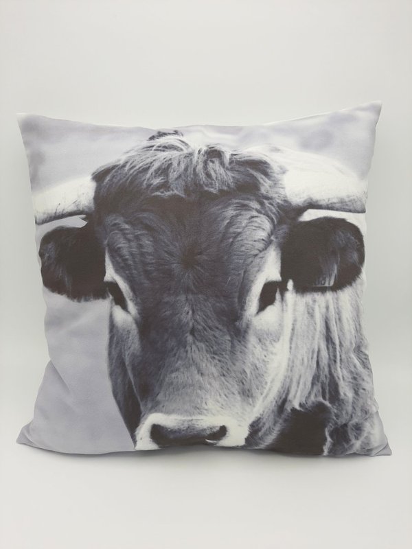 Tyynynpäällinen, lehmä