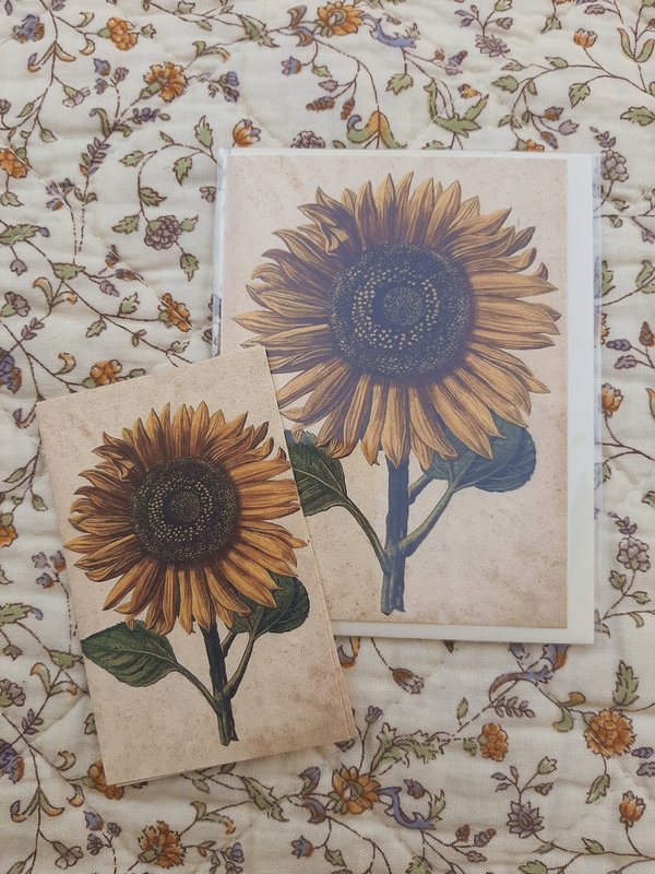 Kortti ja kirjekuori, auringonkukka 8,5 x 11,5